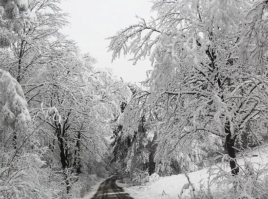 Zima nie odpuszcza - temperatura spadnie do -22 stopni