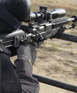 Korea Południowa. Będą strzelać do świń z ASF