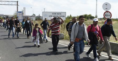 Donald Trump zyskuje w oczach Polaków. My też popieramy zakaz wjazdu muzułmanów