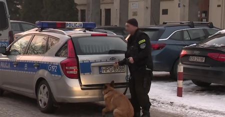Śledztwo w sprawie Wisły Kraków. Policja i CBŚP w siedzibie klubu