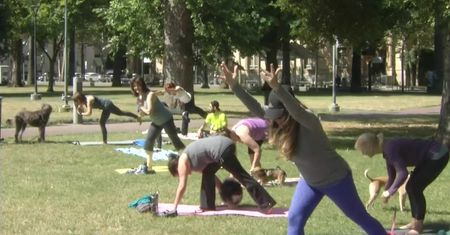 Joga z psami w Kalifornii. Moda na „dogę” w parku w San Jose