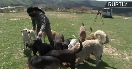 Mówią na niego Leśny Anioł. Aktywista opiekuje się 400 porzuconymi psami w dobie koronawirusa