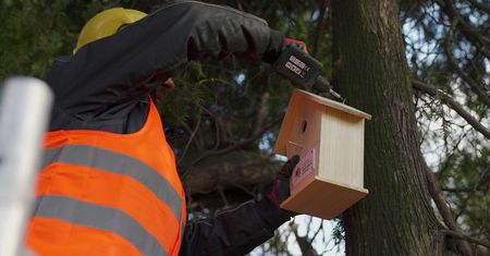 Dwadzieścia budek lęgowych dla ptaków trafiło do centrum Lublina