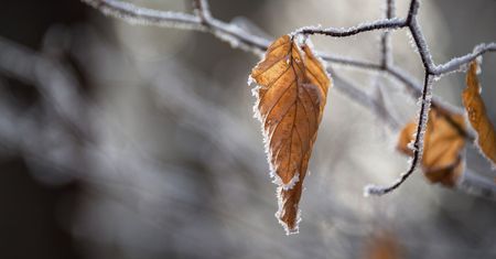 Środa pochmurna ze śniegiem, deszczem