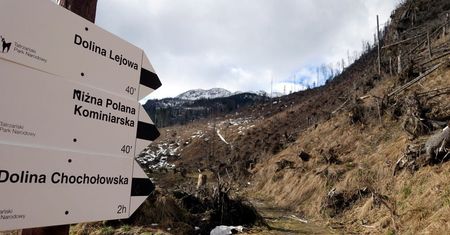 Tatry: zakaz poruszania się po szlakach po zmroku
