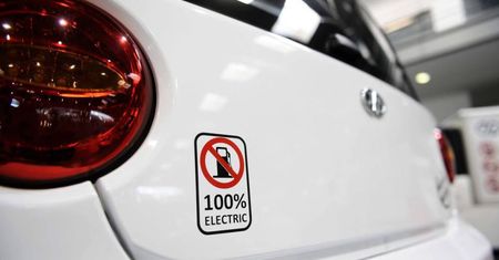 Dopłaty do zakupu samochodów elektrycznych dla firm przyśpieszą rozwój elektromobilności