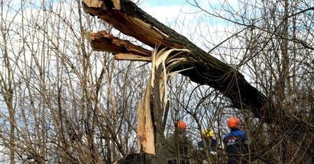 IMGW ostrzega: silny wiatr w pięciu województwach