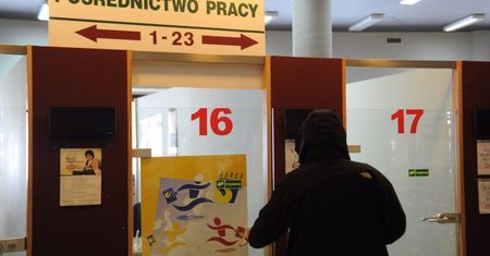 Pekao: rewidujemy w dół prognozy bezrobocia dla Polski