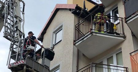 Policjanci uratowali psy pozostawione w rozgrzanych pomieszczeniach