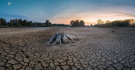 Polska w gronie państw najbardziej zagrożonych deficytem wody. Spodziewane dramatyczne konsekwencje społeczne i gospodarcze