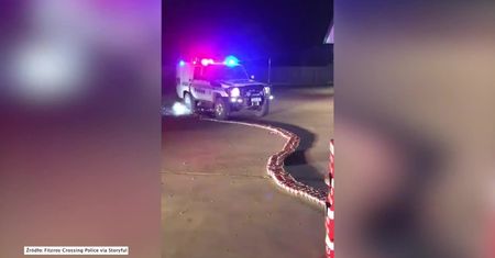 Radiowóz przejechał po setkach puszek z piwem. Australijska policja zlikwidowała nielegalny alkohol