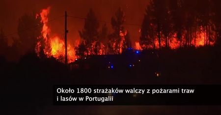 Około 1800 strażaków walczy z pożarami traw i lasów w Portugalii