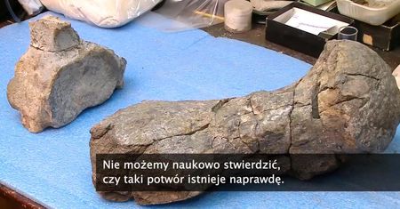 Szkielet starożytnego gada trafił do muzeum w Buenos Aires