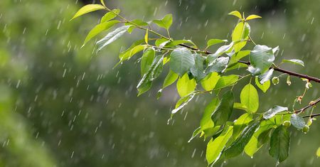 Piątek z przelotnym deszczem i burzami. W kolejnych dniach pogodnie