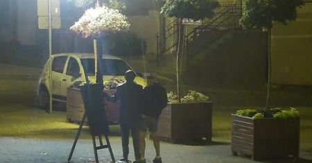 Dzięki monitoringowi zatrzymano sprawcę znieważenia pomnika