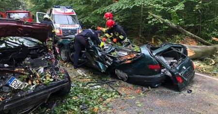 Drzewo przygniotło dwa samochody. Zablokowana droga krajowa nr 25 w Drołtowicach