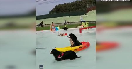 Perros al Agua to park wodny dla psów znajdujący się w Barcelonie. Zwierzęta mogą korzystać z desek surfingowych, kajaków, zjeżdżalni i rampy do skoków