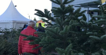 Choinka pełna symboli. Co wieszamy na świątecznym drzewku?