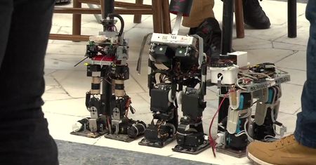Mechaniczne motyle i roboty sumo. Na Politechnice Warszawskiej odbyła się 8. edycja turnieju Nrobomaticon