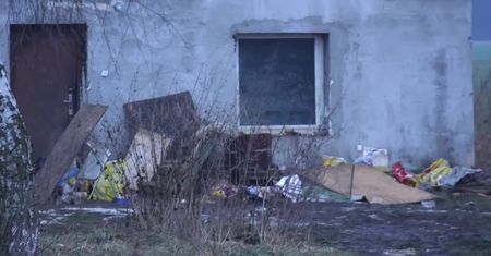Koszmar w hotelu dla psów w Wielkopolsce. Kilkanaście chorych i zagłodzonych zwierząt