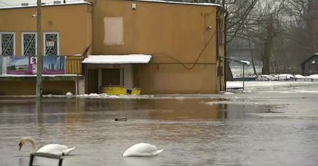 Lodowy zator na Narwi spowodował podtopienia w Pułtusku