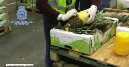 Kreatywni przemytnicy z Kolumbii. Ubrali kokainę w ananasy