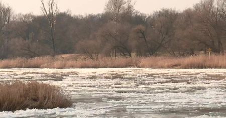 Potężna kra na Odrze. Nie kursują wszystkie promy w Lubuskiem