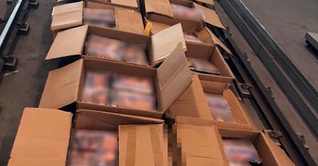 CBŚP ZAPOBIEGŁO GIGANTYCZNEMU PRZEMYTOWI HASZYSZU WARTEGO 60 MLN ZŁ