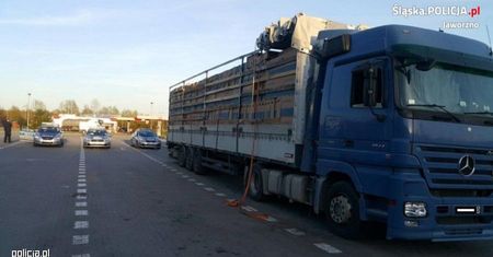 NIELEGALNI IMIGRANCI W CIĘŻARÓWCE