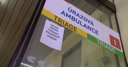 Epidemia odry w Czechach