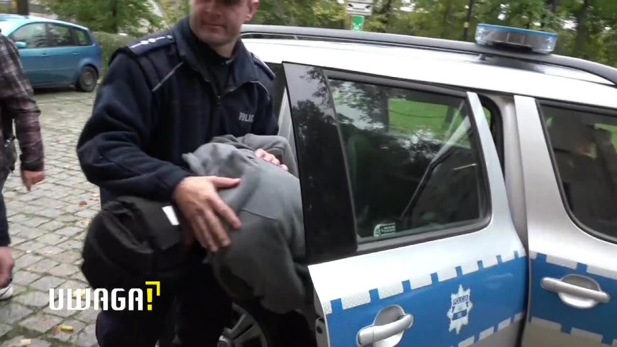 zdjęcie