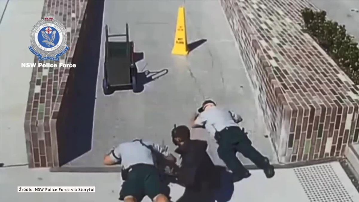 zdjęcie
