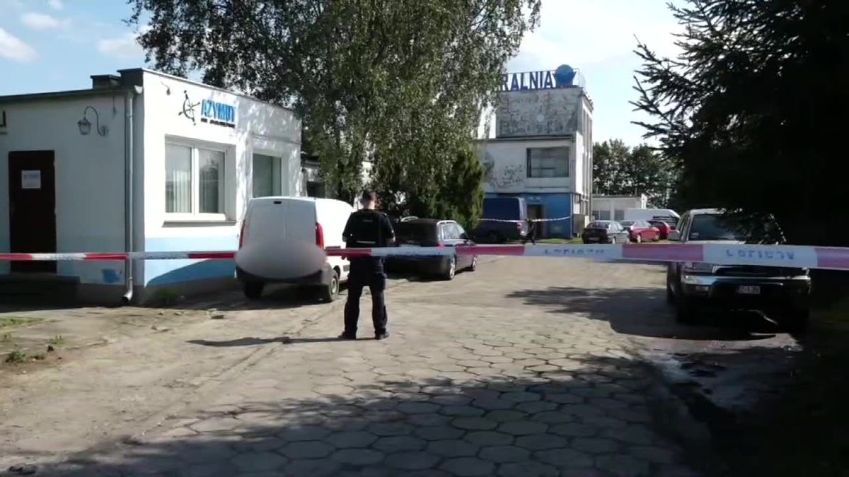 zdjęcie