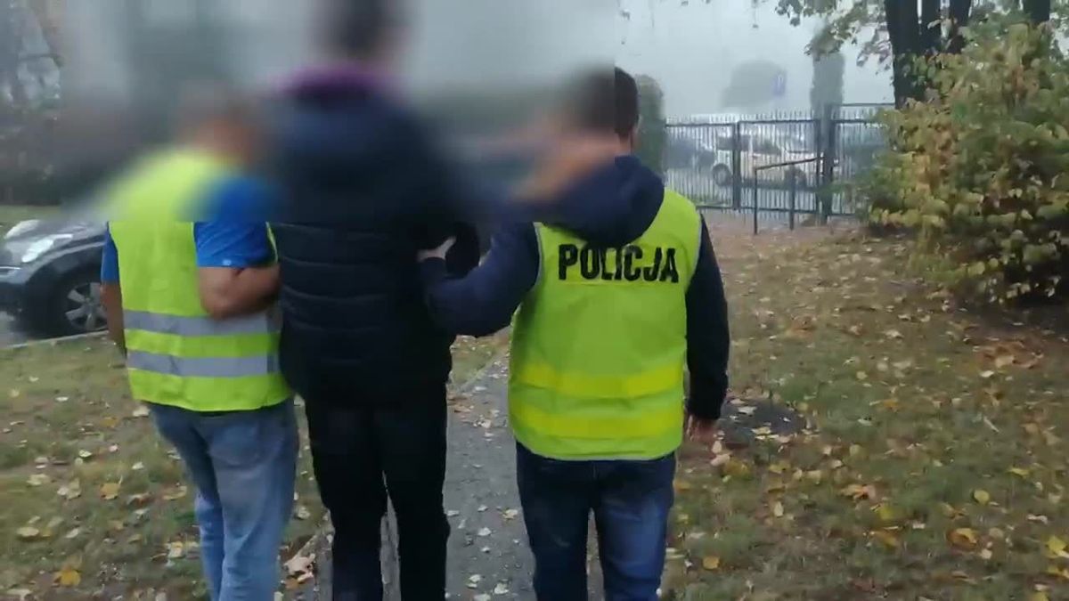 zdjęcie