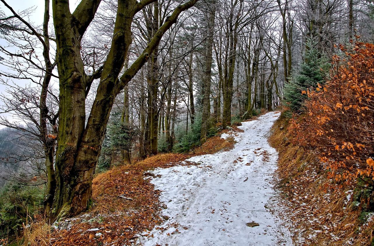W sobotę ochłodzenie. Na wschodzie i południu przelotne opady śniegu