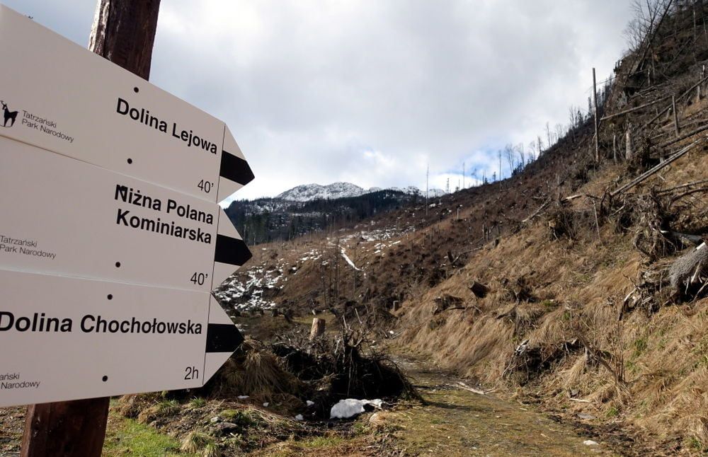 Tatry: zakaz poruszania się po szlakach po zmroku