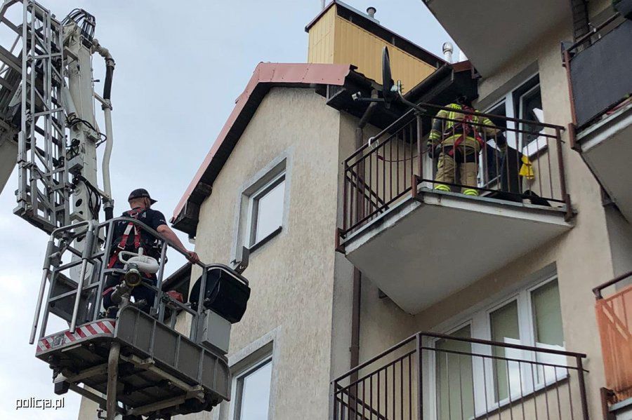 Policjanci uratowali psy pozostawione w rozgrzanych pomieszczeniach