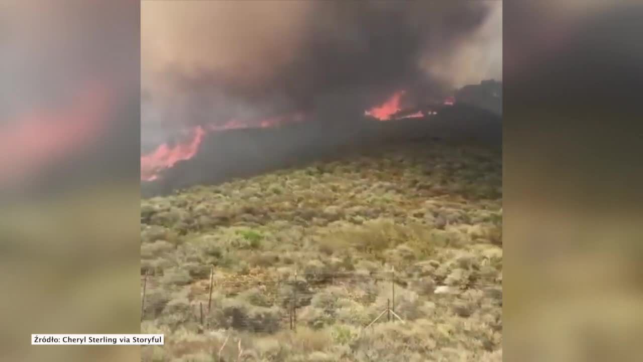 Pożary lasów w Kalifornii. Nakazano ewakuację mieszkańców