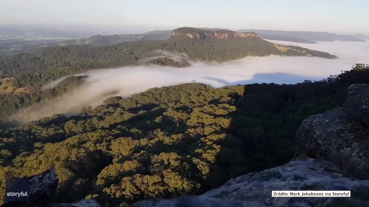 Chmury „płyną” nad australijskim lasem. Piękny timelapse nagrany o świcie