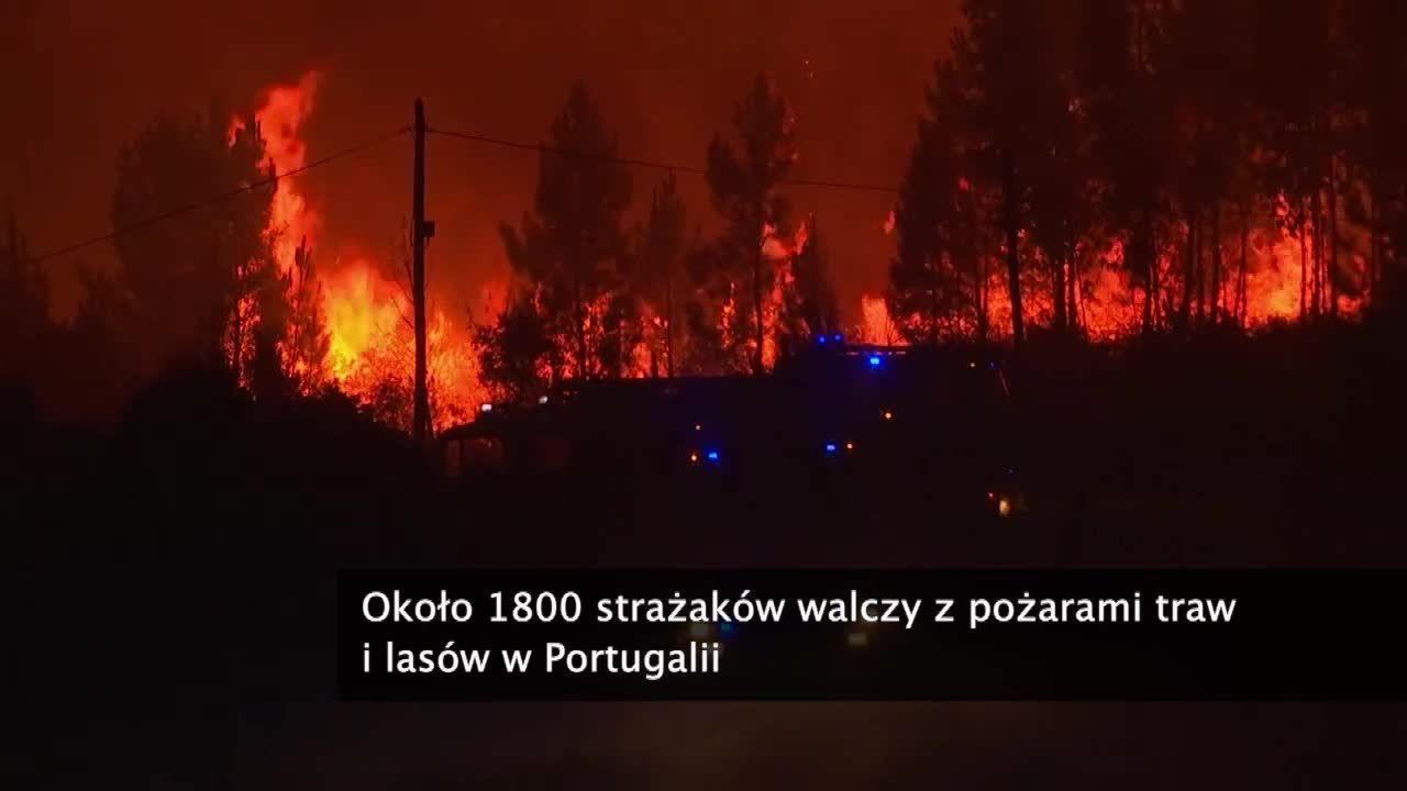 Około 1800 strażaków walczy z pożarami traw i lasów w Portugalii