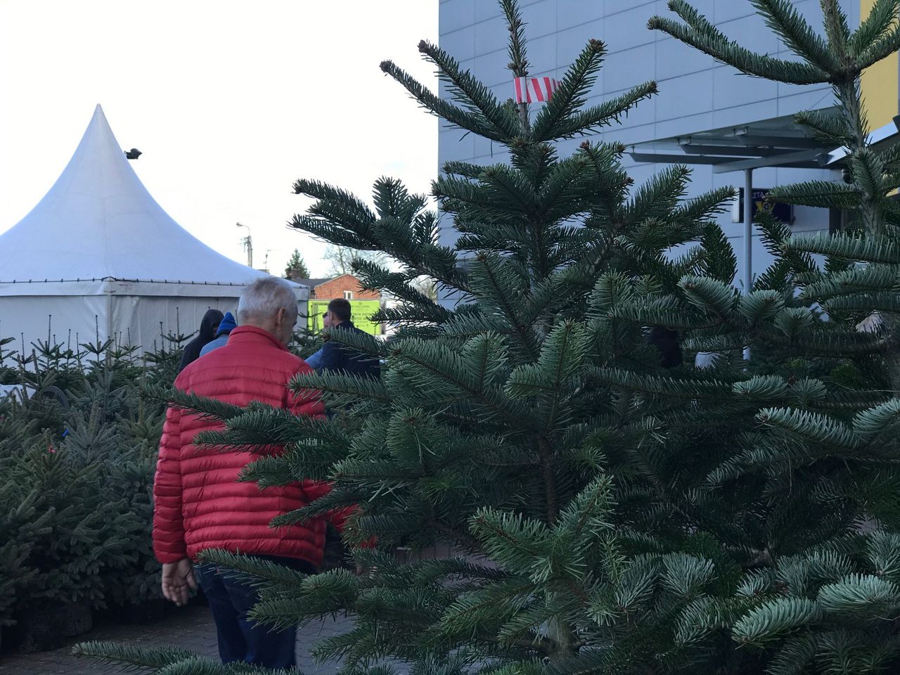 Choinka pełna symboli. Co wieszamy na świątecznym drzewku?