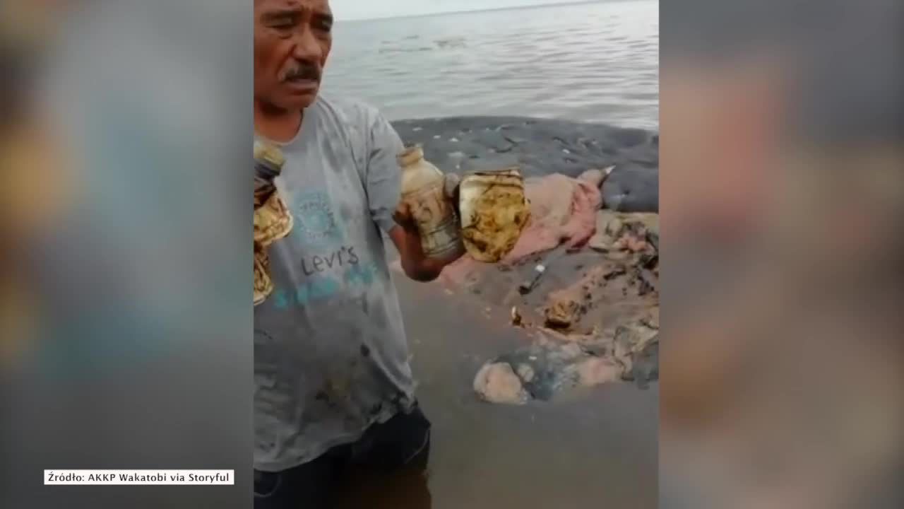 Martwy wieloryb na plaży w Indonezji. W żołądku miał 15 kilogramów plastikowych śmieci