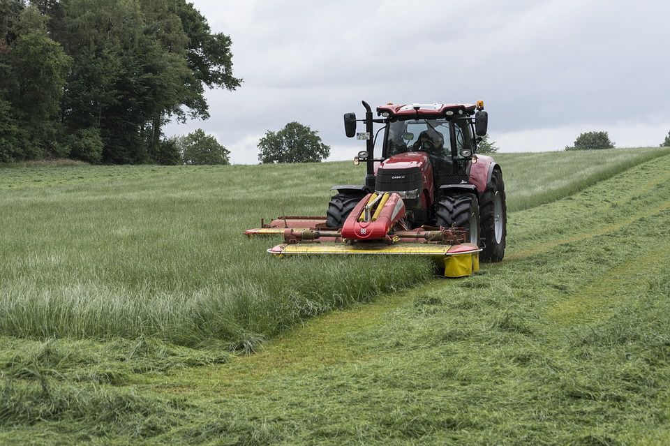 Europejscy rolnicy przeciw umowie UE i Mercosur. Obawiają się zalewu taniej żywności z Ameryki Południowej