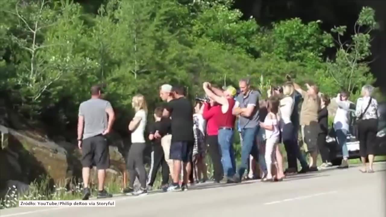 Szczyt nierozwagi. Turyści w Kanadzie z bardzo bliskiej odległości fotografowali dzikiego niedźwiedzia