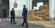 Słoma i race przed wejściem do ministerstwa rolnictwa. Poranna akcja protestacyjna rolników z Agrounii