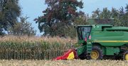 Mimo trudnych warunków pogodowych światowe zbiory kukurydzy mają szansę na rekord. Rynkowi szkodzą susze i niskie ceny