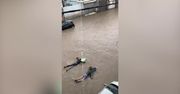 Wyścigi na paddleboardzie po zalanych ulicach Tel Awiwu