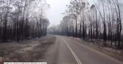 Spalone drzewa i zerwane linie energetyczne. Kierowca jechał zniszczoną przez pożar drogą w Australii