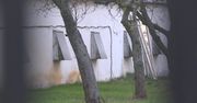 65 tys. kur do utylizacji. Wykryto nowe ognisko ptasiej grypy – tym razem w Wielkopolsce