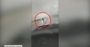 Przeleciał przez barierki ochronne na przeciwległy pas autostrady. Niebezpieczny wypadek w Oklahomie